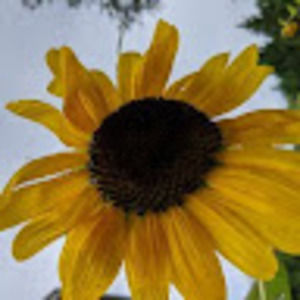 Meet your Posher, Janet